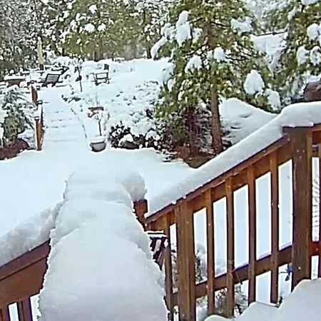 فيلا Yosemite Mountain Retreat آوكهيرست المظهر الخارجي الصورة