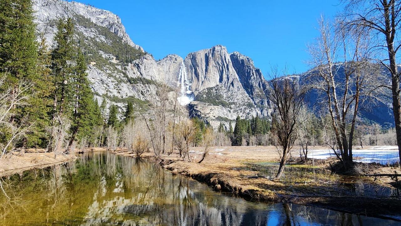 فيلا Yosemite Mountain Retreat آوكهيرست المظهر الخارجي الصورة
