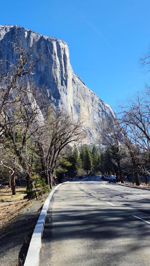 فيلا Yosemite Mountain Retreat آوكهيرست المظهر الخارجي الصورة